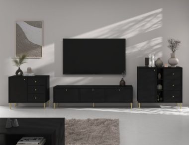 Kompaktowa czarna szafka RTV ze złotymi uchwytami